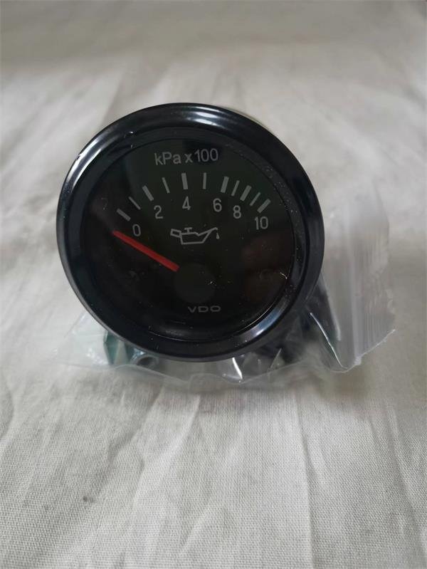 Gauge 12V .jpg